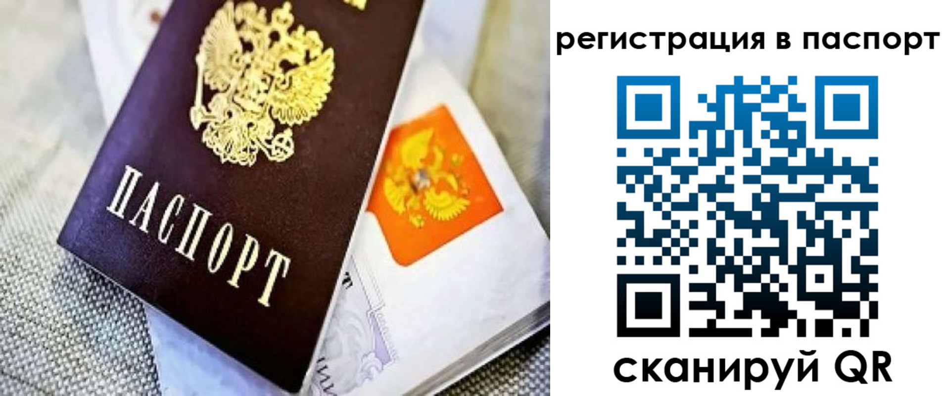 временная регистрация в Ногинске